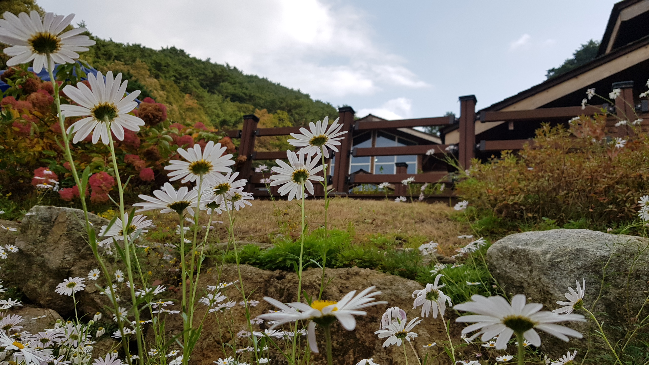 대관령 가을 (3).jpg