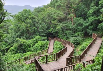 (예천) 봄 마실 숲 산책
