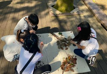 슬기로운 식물생활