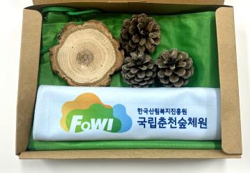 자율 산림레포츠 프로그램(트레킹 키트)