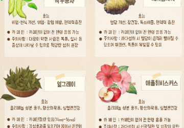 키트형 프로그램(차향에물든숲)