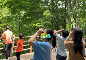 Bird 나무숲