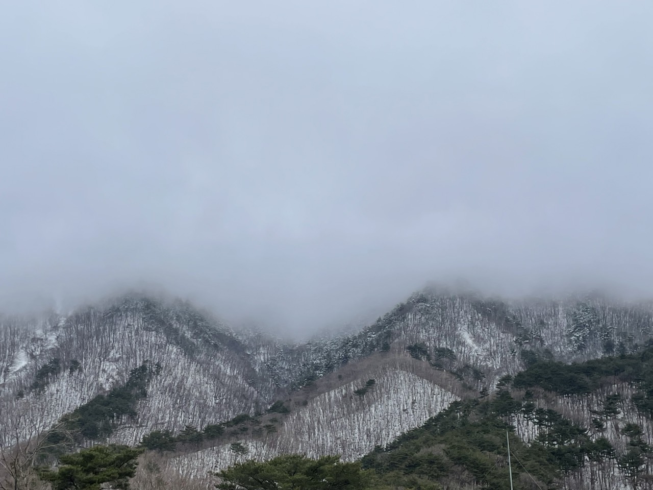 국립청도숲체원의 겨울