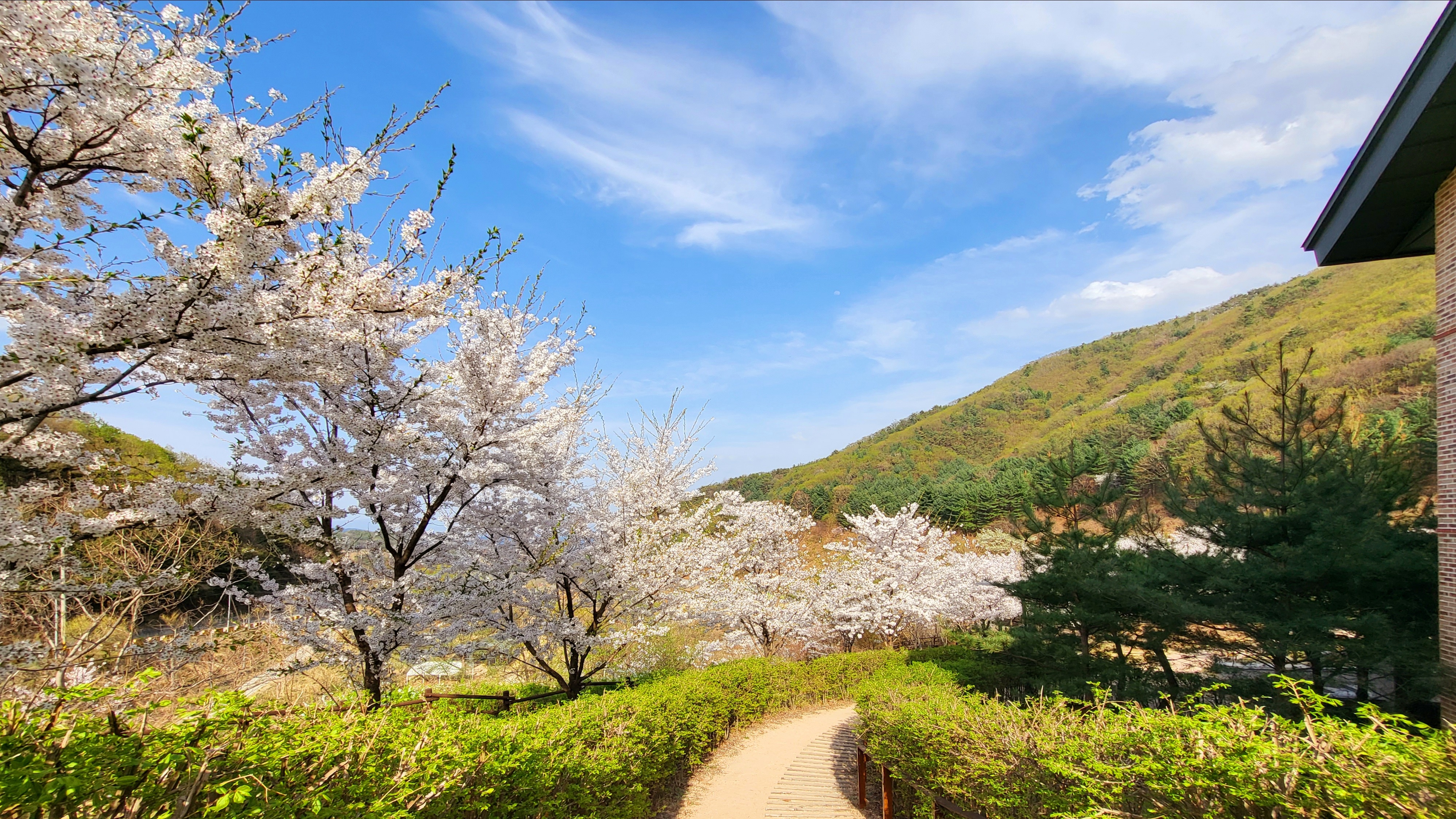 국립산림치유원 내부 숲길